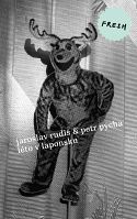 Ob�lka knihy L�to v Laponsku